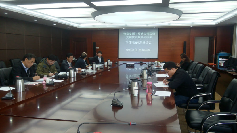 云南桑园3.jpg
