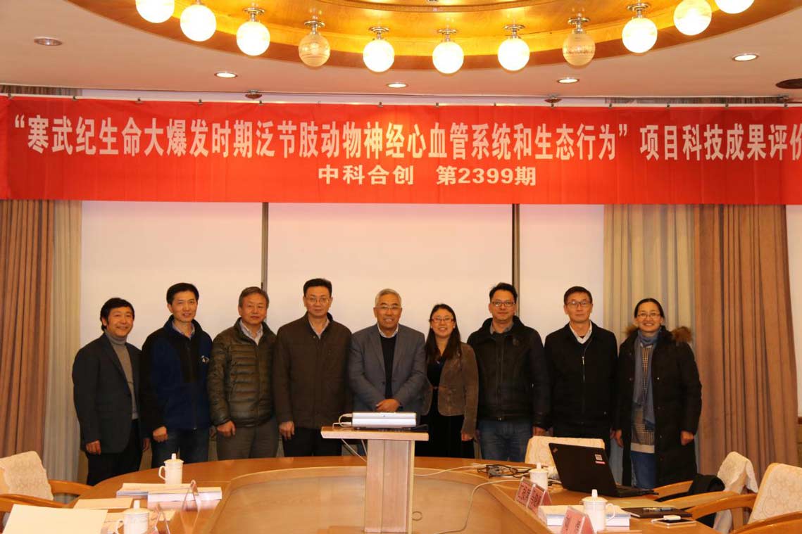 寒武11压缩.jpg 寒武11压缩.jpg