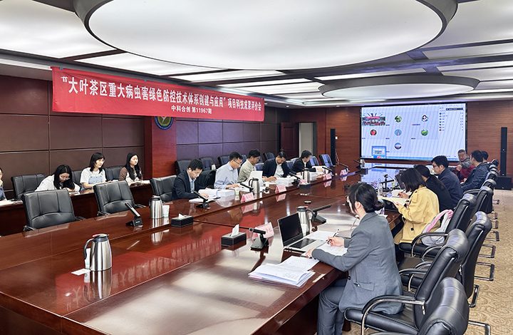科技成果评价.jpg