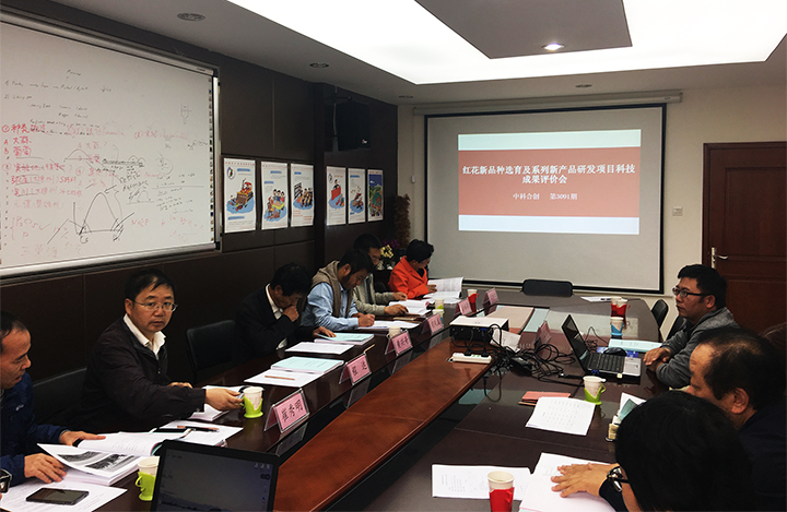 红花新品种选育及系列新产品研发anli.jpg